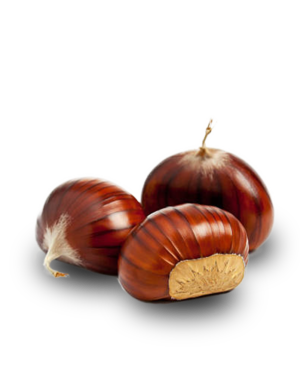 Castagne fresche